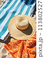 Sunbathing on a beach towel 113802527