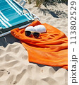 Sunbathing on a beach towel 113802529