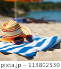 Sunbathing on a beach towel 113802530