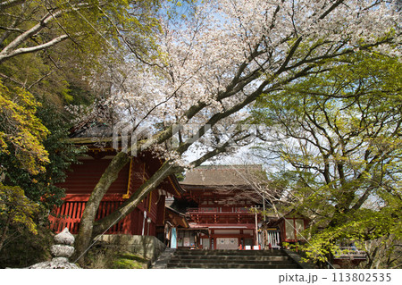 談山神社(拝殿・ 楼門)　【奈良県桜井市多武峰】 113802535