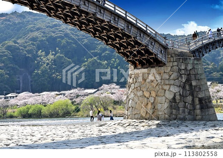 錦帯橋を見上げる 113802558