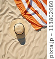 Sunbathing on a beach towel 113802660