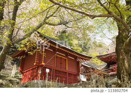 談山神社(西宝庫)　【奈良県桜井市多武峰】 113802704