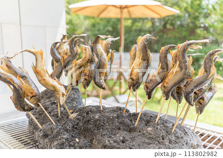 溶岩石に刺さった鮎の塩焼き 113802982