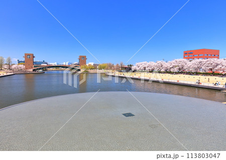 【富山県】快晴の富岩運河環水公園と満開の桜 【富山県】快晴の富岩運河環水公園と満開の桜 113803047