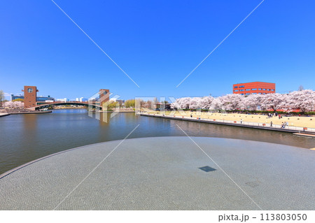 【富山県】快晴の富岩運河環水公園と満開の桜 113803050