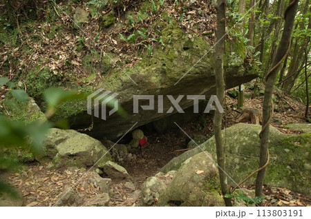 乳岩(熊野古道)　【和歌山県田辺市中辺路町】 113803191