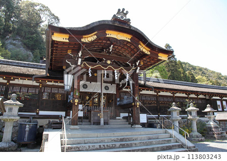 京都市西京区　松尾大社の本殿 113803243