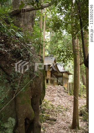 滝尻王子社(熊野古道) 【和歌山県田辺市中辺路町】 滝尻王子社(熊野古道) 【和歌山県田辺市中辺路町】 113803246