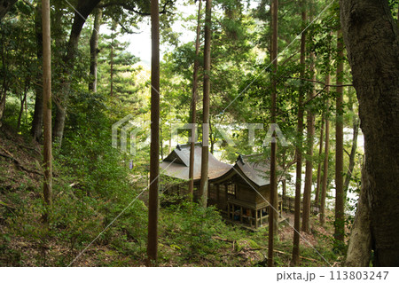 滝尻王子社(熊野古道)   【和歌山県田辺市中辺路町】 113803247