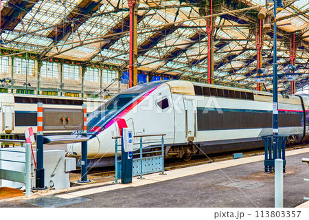 Gare de Lyon Train station in Paris. Gare de Lyon Train station in Paris. 113803357