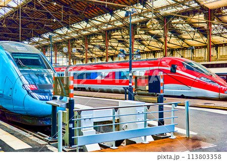 Gare de Lyon Train station in Paris. Gare de Lyon Train station in Paris. 113803358