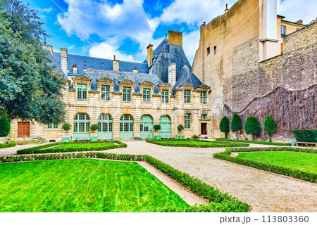 Fabulous, magnificent Paris in early spring. 113803360