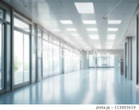 Light blurred background. Blur The hall of an office or medical institution,hospital with panoramic windows 113803619