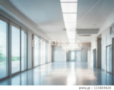 Light blurred background. Blur The hall of an office or medical institution,hospital with panoramic windows 113803620