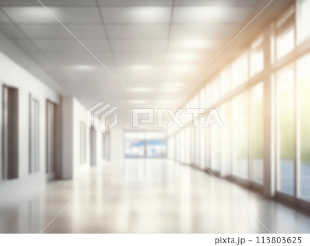 Light blurred background. Blur The hall of an office or medical institution,hospital with panoramic windows 113803625