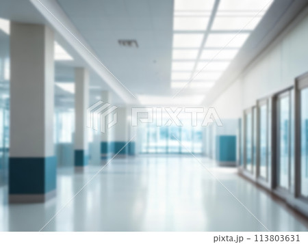Light blurred background. Blur The hall of an office or medical institution,hospital with panoramic windows 113803631