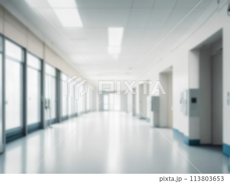 Light blurred background. Blur The hall of an office or medical institution,hospital with panoramic windows 113803653
