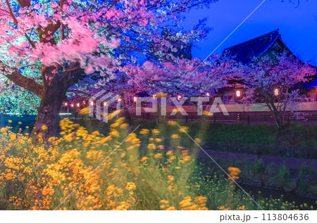 栃木県 真岡市・春の行屋川水辺公園 113804636