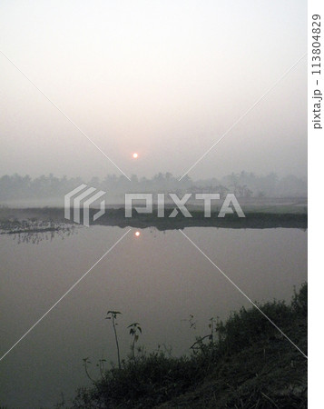 Misty morning in the Bengal countryside in Sundarbans jungle area, West Bengal, India 113804829