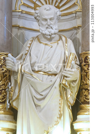 Statue of apostle St Peter Statue of apostle St Peter 113804993