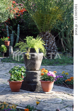 Garden at the church above Peter's house in Capernaum on the Sea of Galilee, Israel Garden at the church above Peter's house in Capernaum on the Sea of Galilee, Israel 113805001