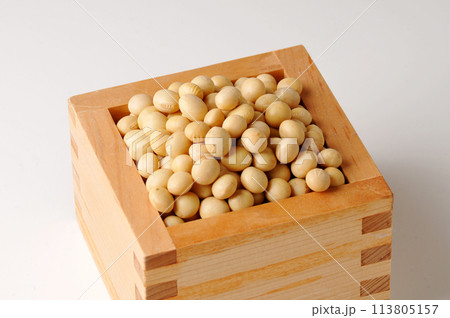 大豆 大豆 113805157