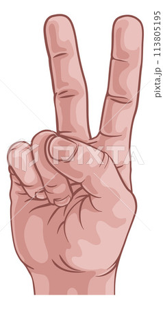 Hand in a Peace or V for Victory Sign 113805195