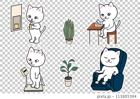 洗完澡後，貓咪在更衣室裡保養身體 113805304