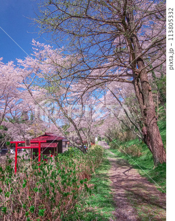 栃木県那須町 芦野御殿山・春の風景 栃木県那須町 芦野御殿山・春の風景 113805332