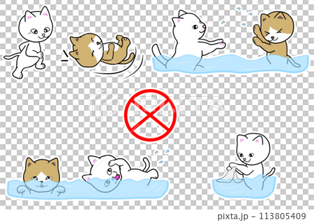 A white cat and a brown cat with a brown eyelet are violating etiquette in the large public bath. 113805409