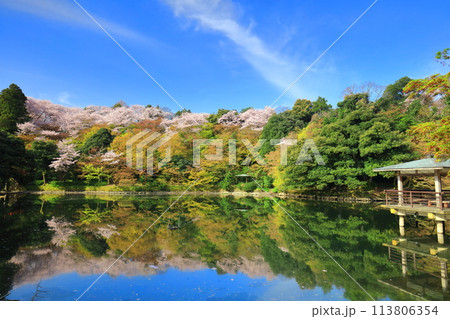 【富山県】晴天の高岡古城公園と満開の桜(北内濠) 【富山県】晴天の高岡古城公園と満開の桜(北内濠) 113806354