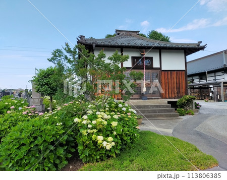 保安寺のあじさい (埼玉県熊谷市) 保安寺のあじさい (埼玉県熊谷市) 113806385