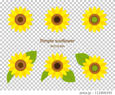 向日葵插畫素材向量簡單夏花白色背景 113806395