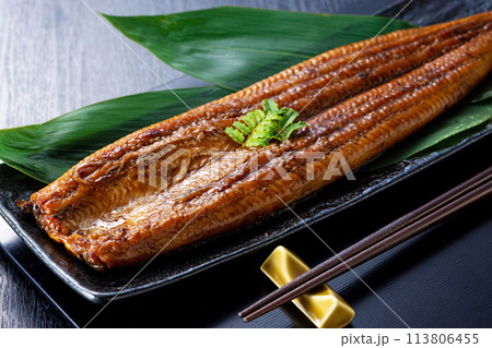 国産うなぎの蒲焼きと日本酒 国産うなぎの蒲焼きと日本酒 113806455