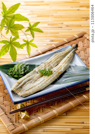 うなぎ 白焼き うなぎ 白焼き 113806464