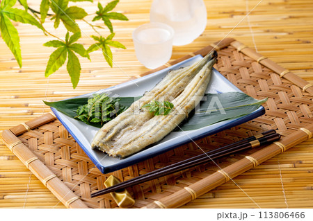 うなぎ 白焼き うなぎ 白焼き 113806466
