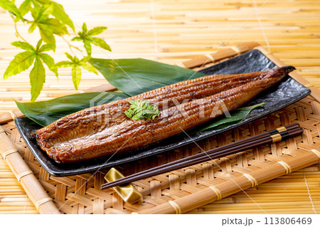 うなぎの蒲焼 うなぎの蒲焼 113806469