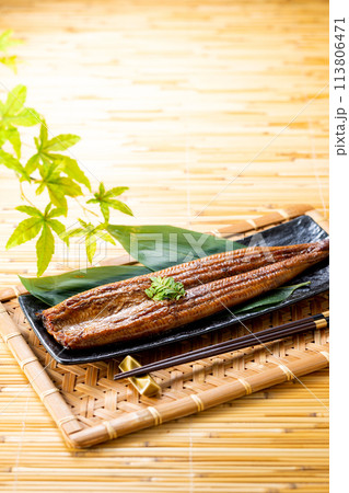 うなぎの蒲焼 113806471