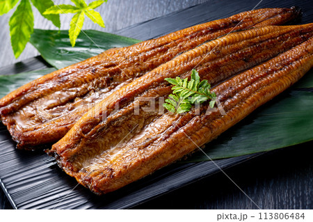 国産うなぎの蒲焼き 113806484