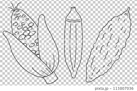 Loose and simple summer vegetable set 1 Line drawing 113807036
