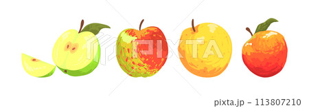 Ripe Apple Fruit as Garden Crop Vector Set 113807210