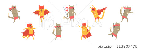 Funny Superhero Cat in Red Cape and Mask Vector Set 113807479