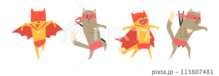 Funny Superhero Cat in Red Cape and Mask Vector Set 113807481