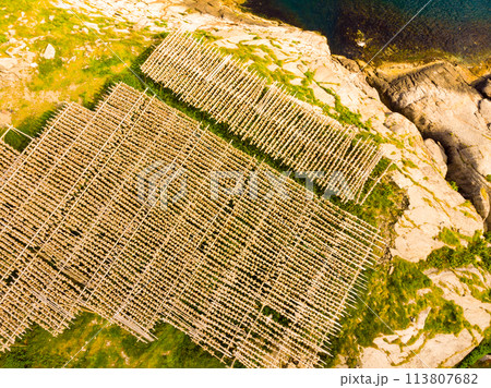 Cod stockfish drying on racks, Lofoten islands Norway Cod stockfish drying on racks, Lofoten islands Norway 113807682