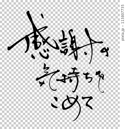 筆文字　感謝の気持ちをこめて .n 113807735