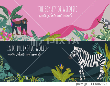 Hand drawn flat exotic flora and fauna horizontal banner template collection with wild animals and tropical plants Hand drawn flat exotic flora and fauna horizontal banner template collection with wild animals and tropical plants 113807977