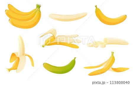 Cartoon banana. Bunch, whole tropical fruit and slices. Yellow peel. Ripe and unripe. Organic garbage. Slipping on husk. Dietary product. Recycling litter. Plant ingredients vector set 113808040
