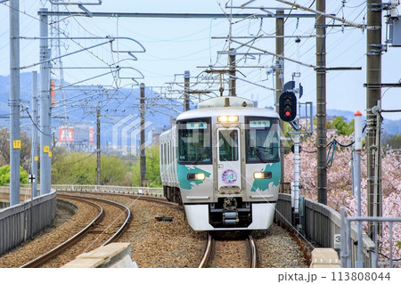 満開の桜をバックに走る愛知環状鉄道線2000系電車 満開の桜をバックに走る愛知環状鉄道線2000系電車 113808044
