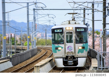 満開の桜をバックに走る愛知環状鉄道線2000系電車 満開の桜をバックに走る愛知環状鉄道線2000系電車 113808045